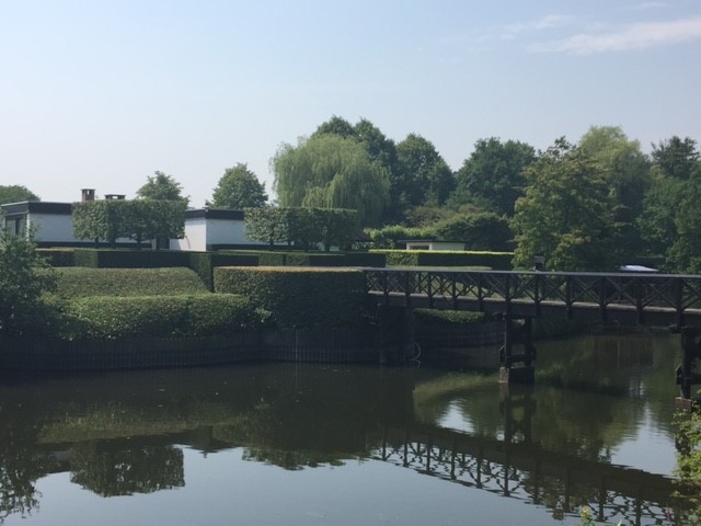 Snoei tuin